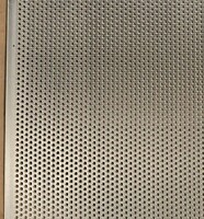 1,00 x 1000 x 2000 mm, RV 3,00-5,00, Al Děrovaný plech